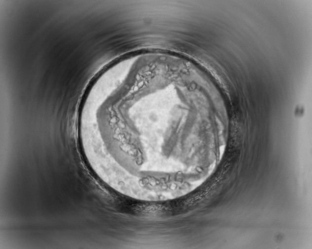 X0000103900791200810101244