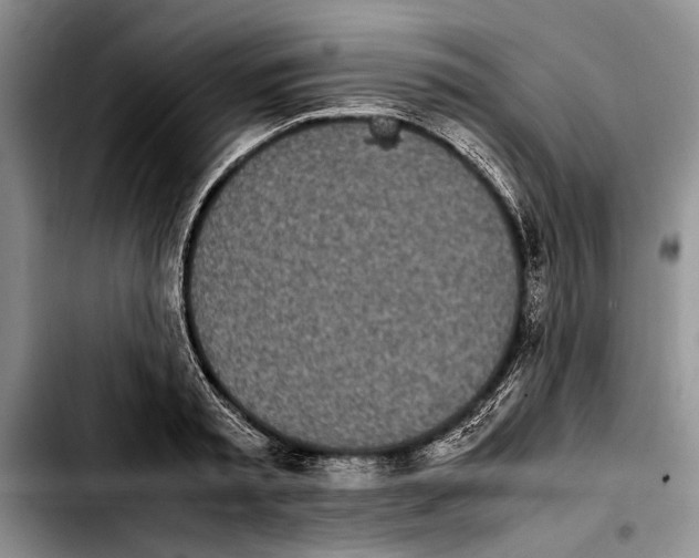 X0000103900797200810101244