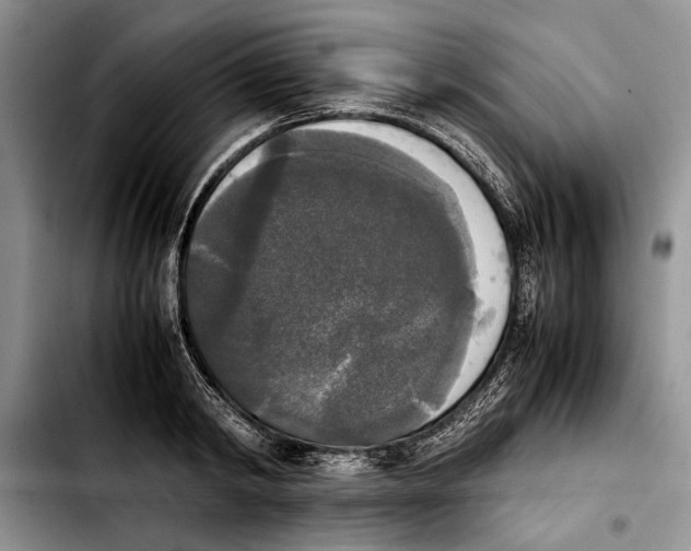 X0000103900798200810101244