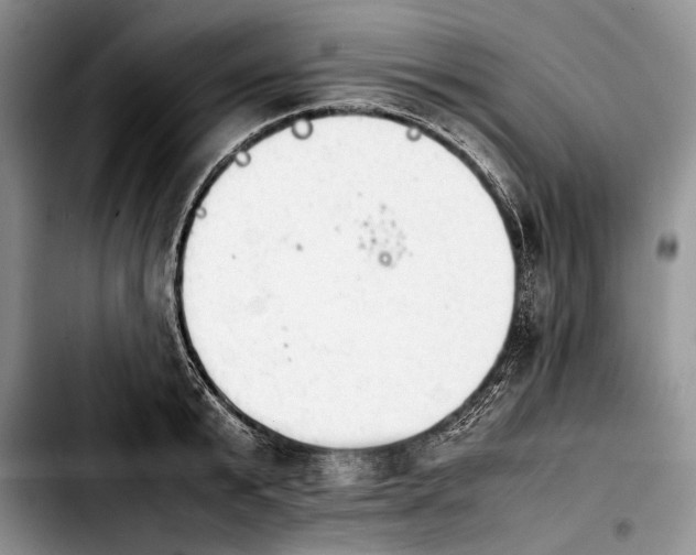 X0000103900799200810101244