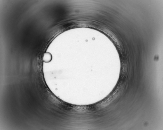 X0000103900801200810101244