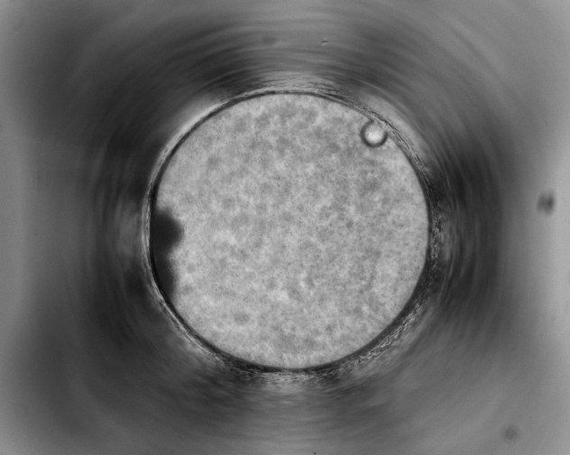 X0000103900804200810101244