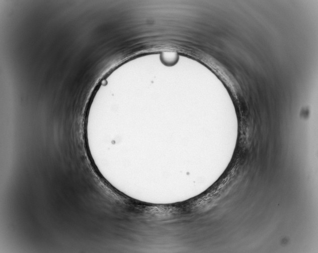 X0000103900805200810101244