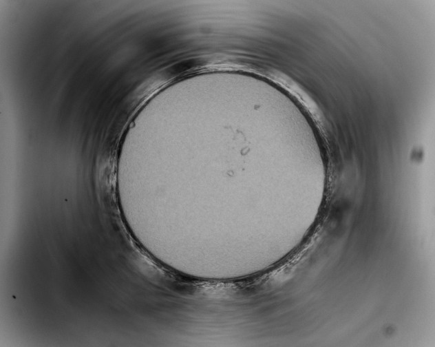 X0000103900809200810101244