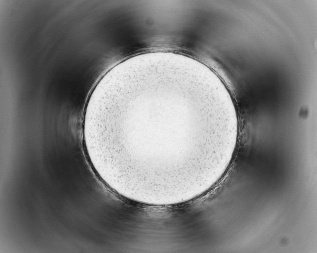 X0000103900810200810101244