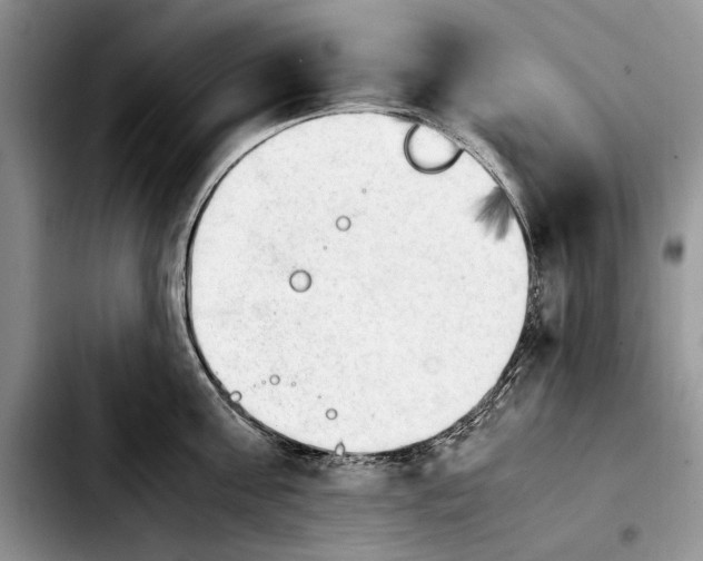 X0000103900811200810101244