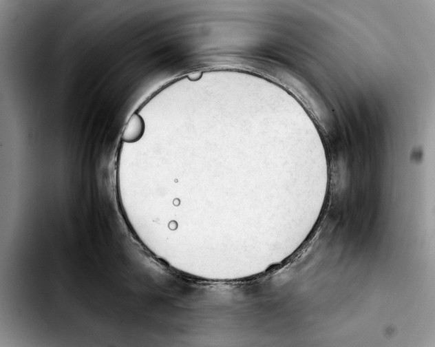 X0000103900814200810101244