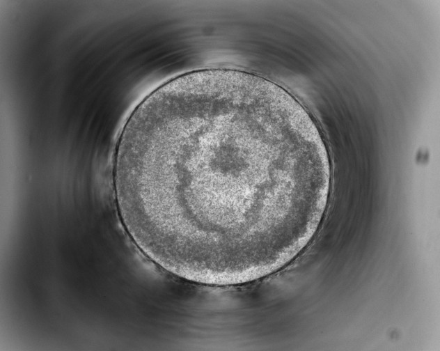 X0000103900816200810101244