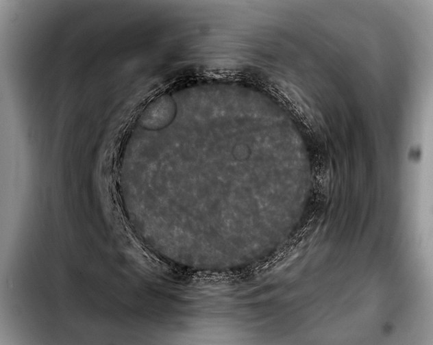 X0000103900817200810101243