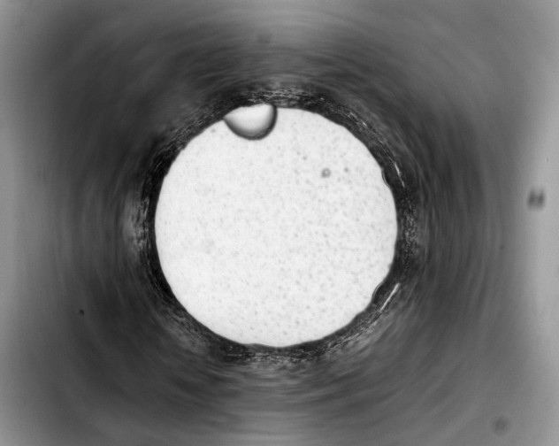 X0000103900818200810101243