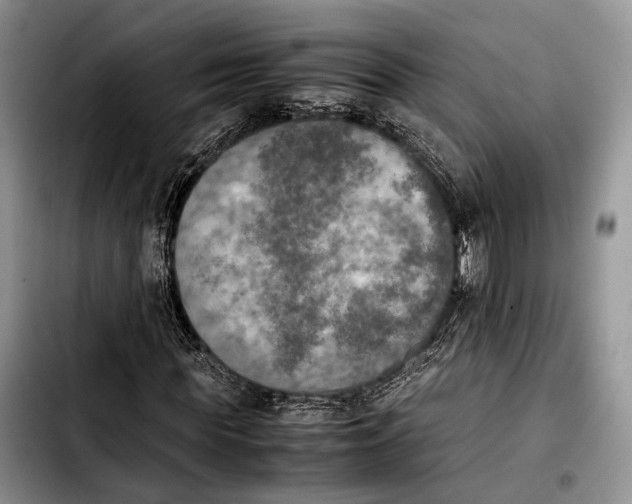 X0000103900819200810101243