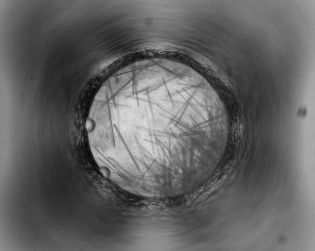 X0000103900822200810101243