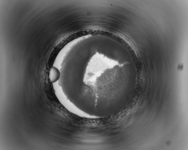 X0000103900823200810101243