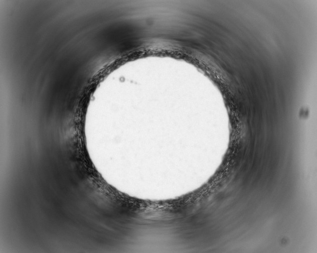 X0000103900824200810101243