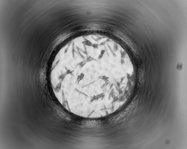 X0000103900826200810101243