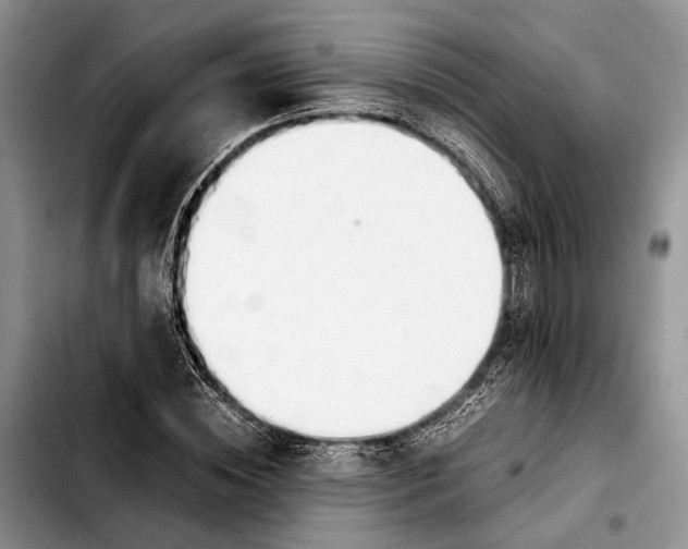 X0000103900828200810101243