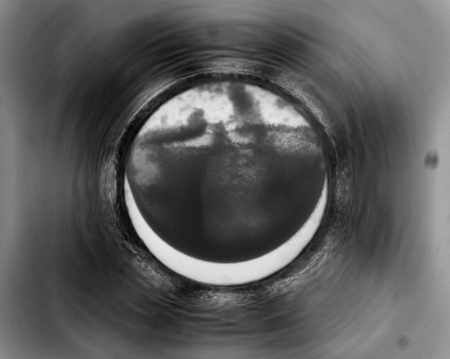 X0000103900829200810101243