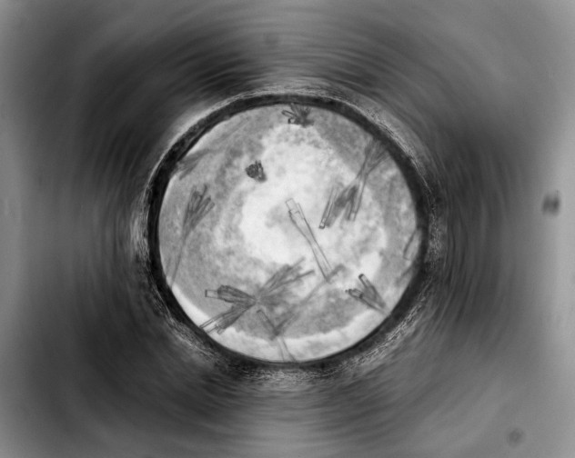 X0000103900830200810101243