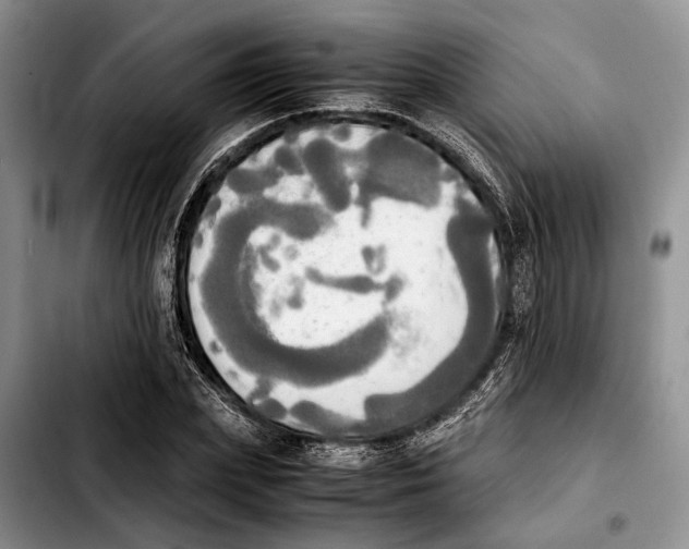 X0000103900831200810101243