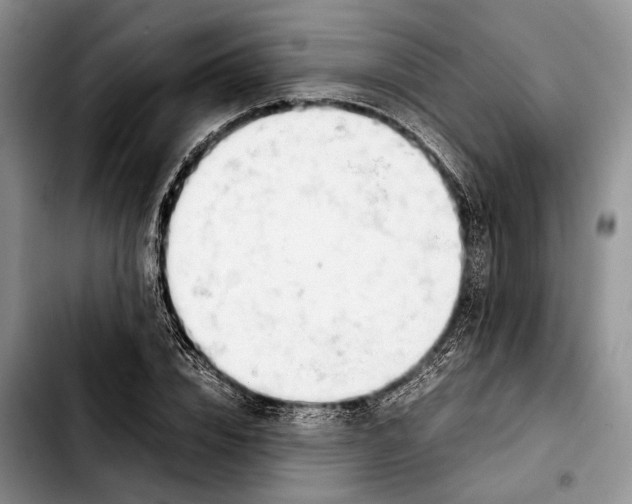 X0000103900832200810101243