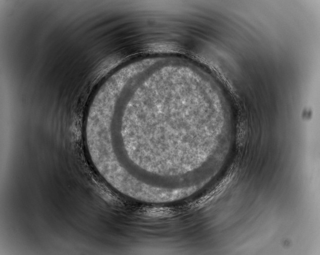 X0000103900833200810101243