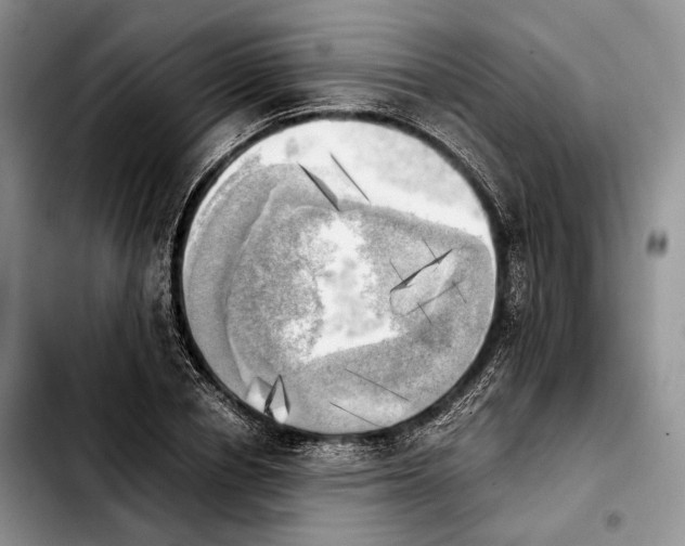 X0000103900834200810101243