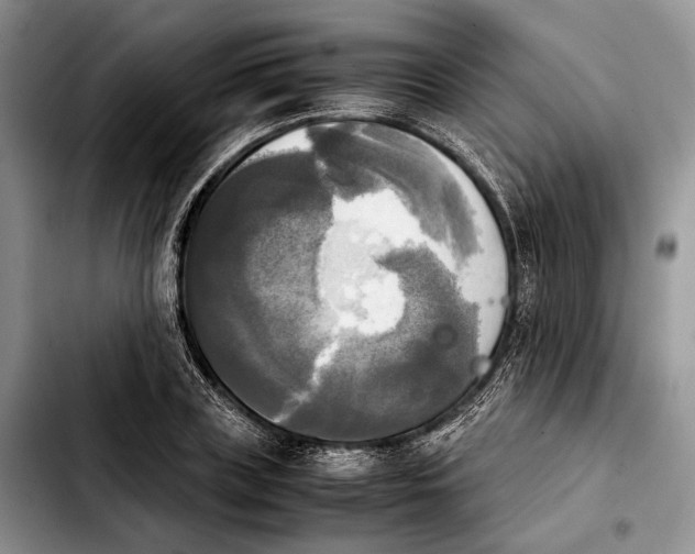 X0000103900835200810101243