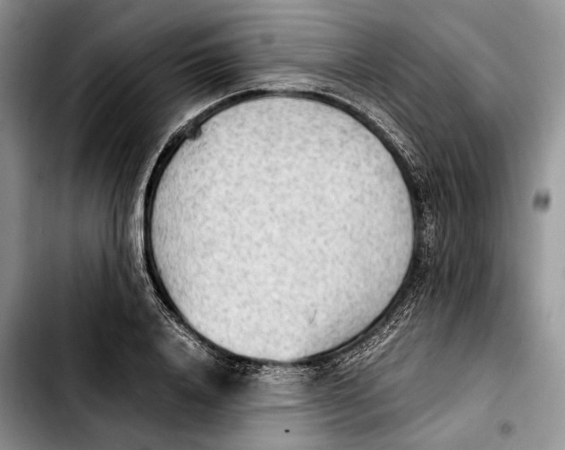 X0000103900840200810101244