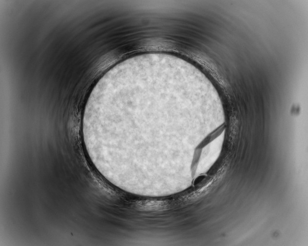 X0000103900841200810101244