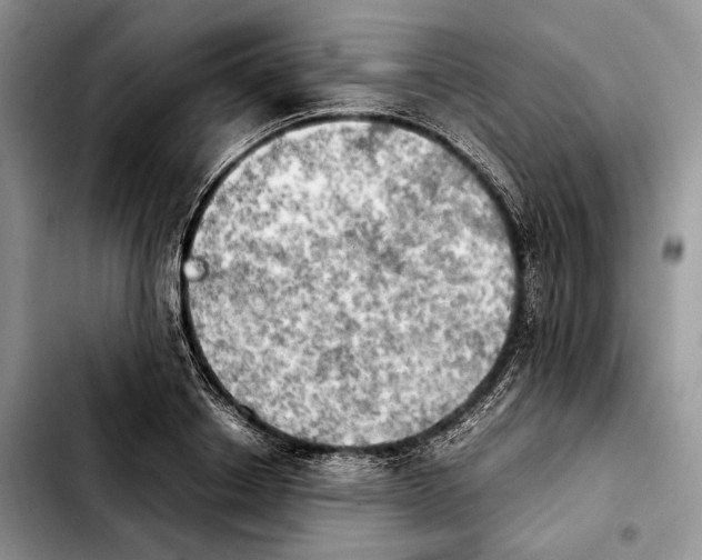 X0000103900842200810101244