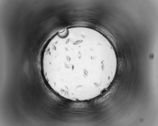 X0000103900843200810101244