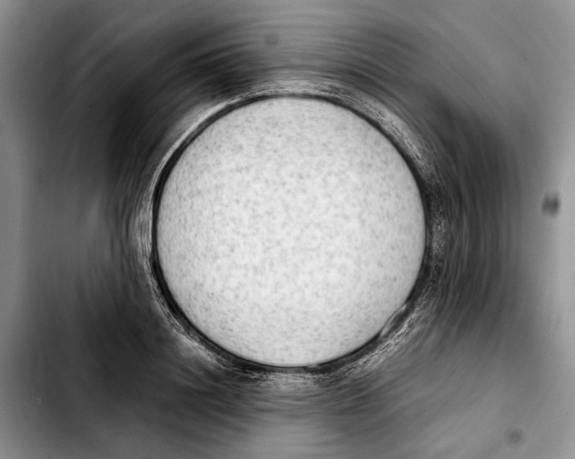 X0000103900844200810101244