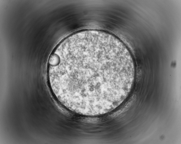 X0000103900845200810101244