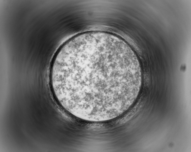 X0000103900846200810101244