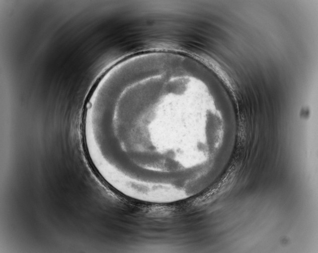 X0000103900847200810101244