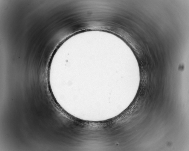 X0000103900848200810101244