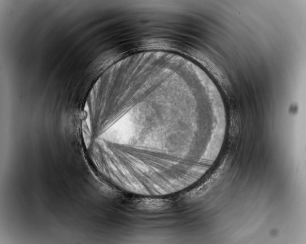 X0000103900849200810101244