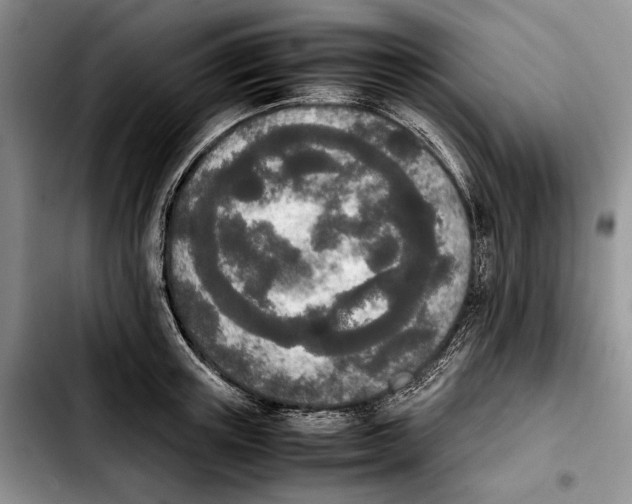 X0000103900851200810101244