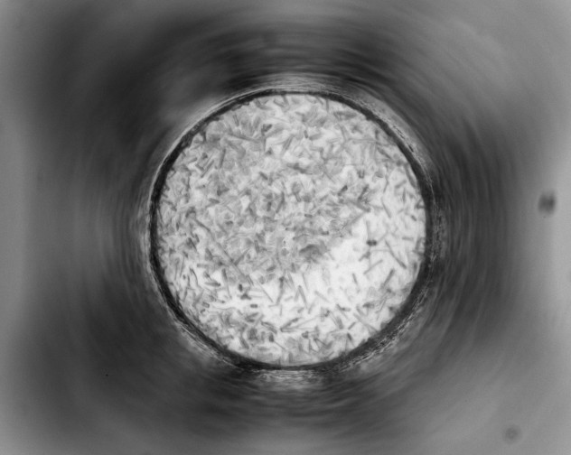 X0000103900853200810101244