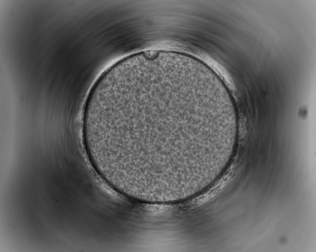 X0000103900854200810101244