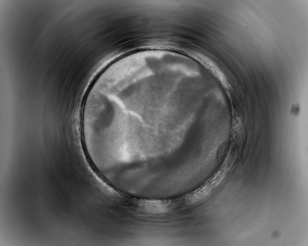 X0000103900855200810101244