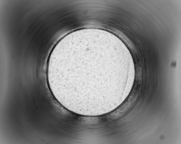 X0000103900856200810101244