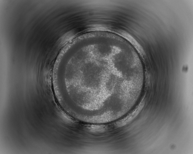 X0000103900857200810101244