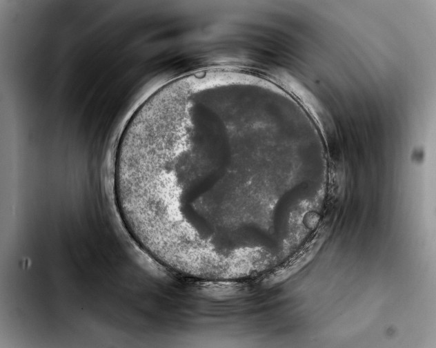 X0000103900859200810101244