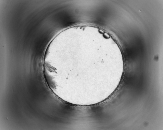 X0000103900860200810101244