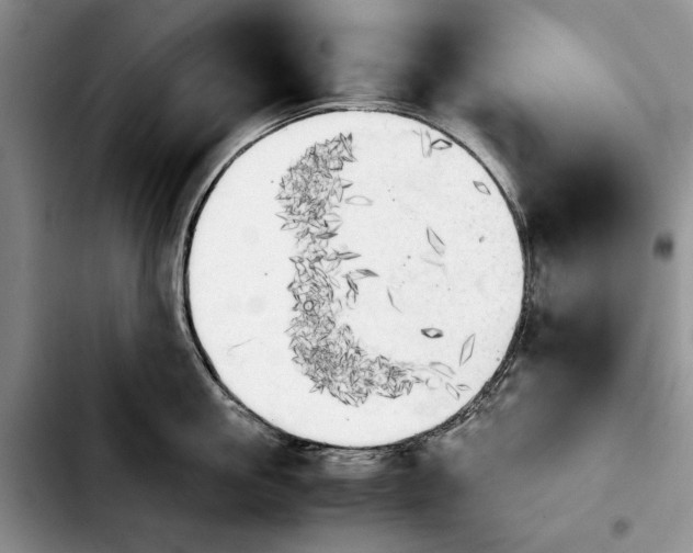 X0000103900861200810101244