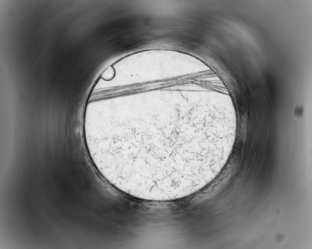 X0000103900862200810101244