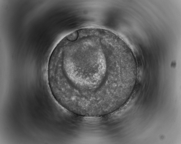 X0000103900863200810101244