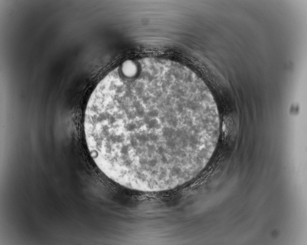 X0000103900867200810101243