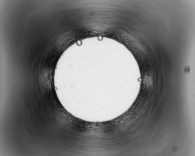 X0000103900868200810101243